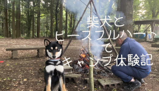 柴犬とピースフルハートでキャンプ体験記｜熊本県南阿蘇村
