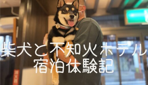 柴犬と旅ブログ｜不知火ホテル宿泊体験記　日奈久温泉１泊２日の旅